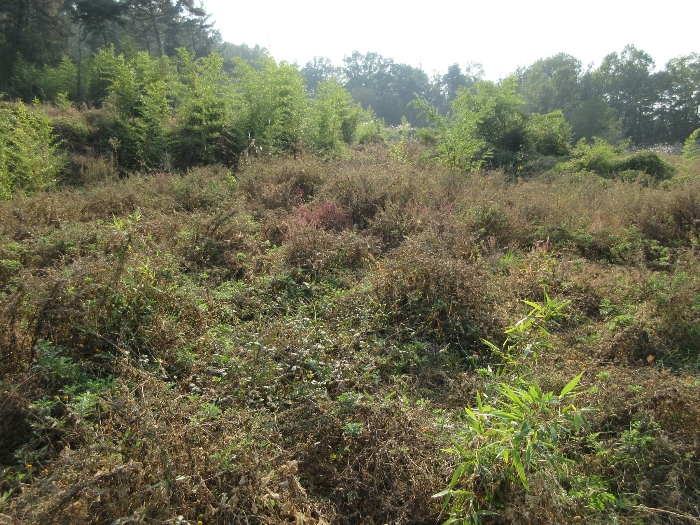 【 본 건 기호 16) 】