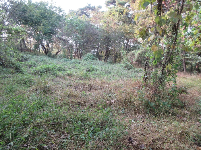 【 본 건 기호 17), 18) 】