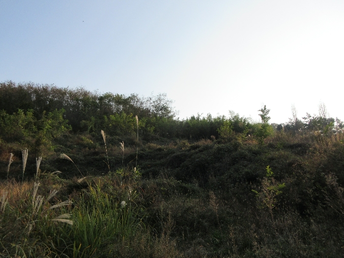 【 본 건 기호 22) 】