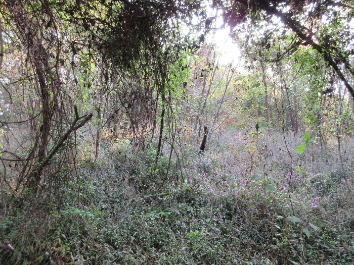 【 본 건 기호 25) 】