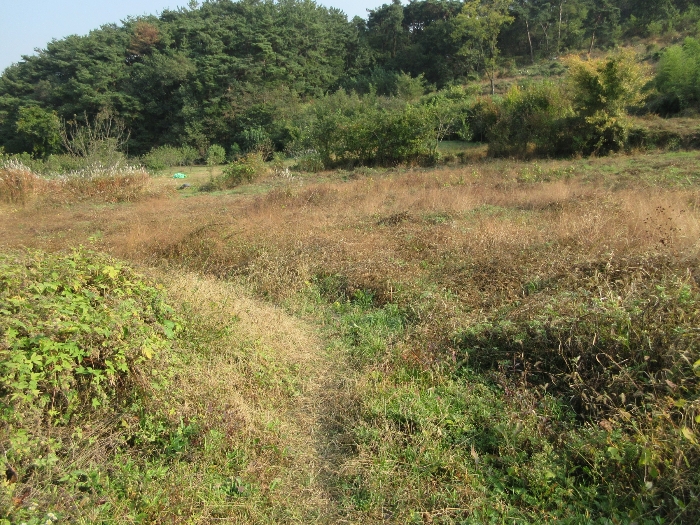 【 본 건 기호 1) 】