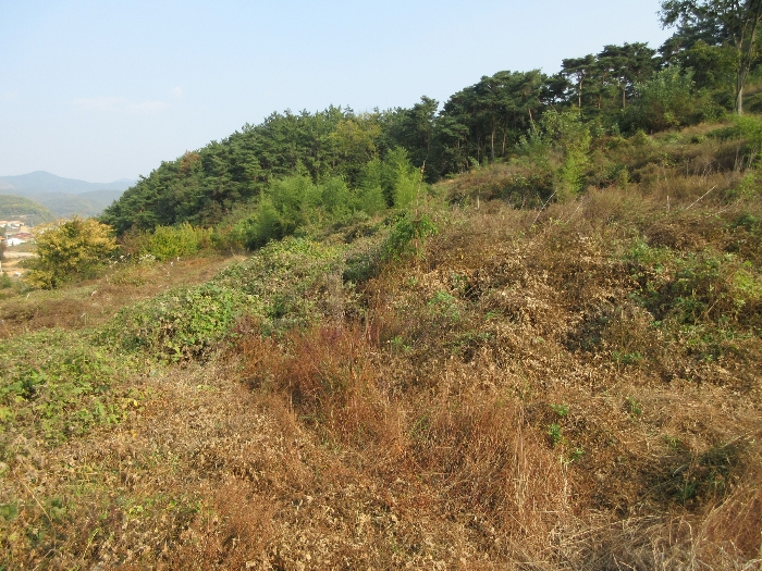 【 본 건 기호 3) 】