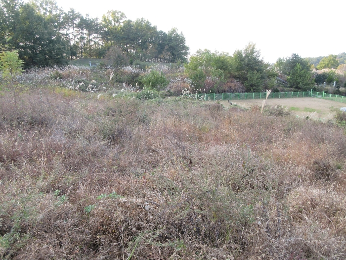 【 본 건 기호 4) 】