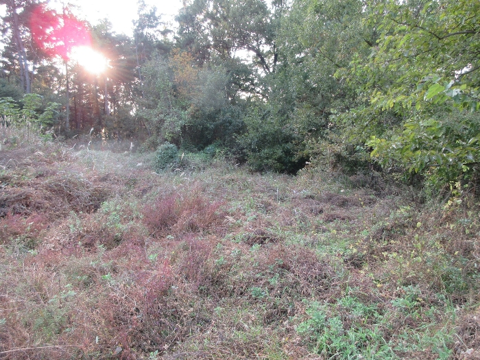 【 본 건 기호 6) 】