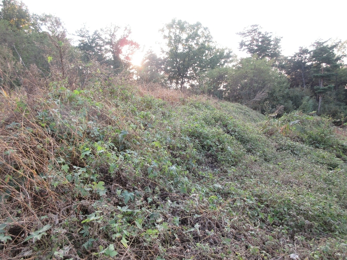 【 본 건 기호 8) 】