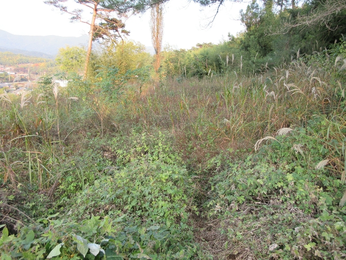 【 본 건 기호 9) 】