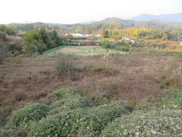 【 본 건 및 주위 환경 】