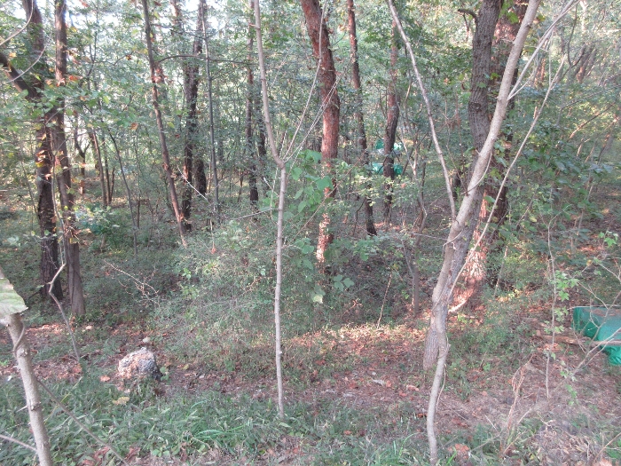 【 본 건 기호 41) 】