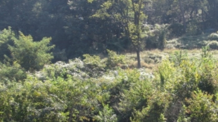 4번 ~ 26번 물건 묵전 전경