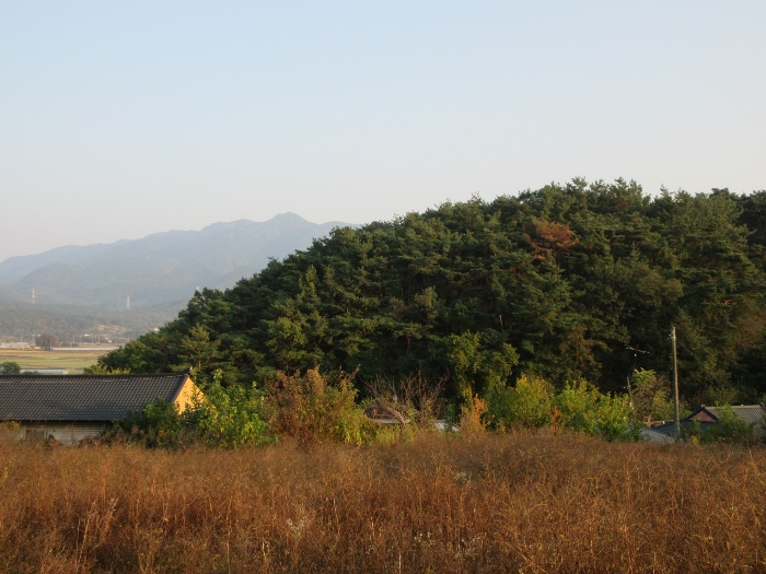 【 본 건 기호 43) 】