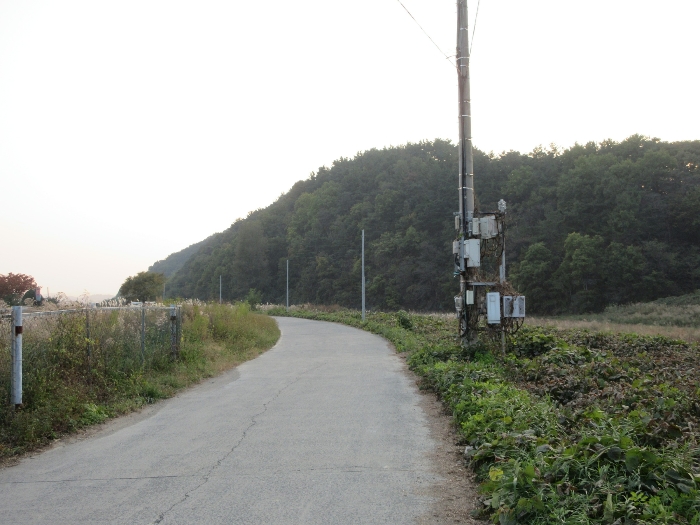 【 본 건 기호 43) 】