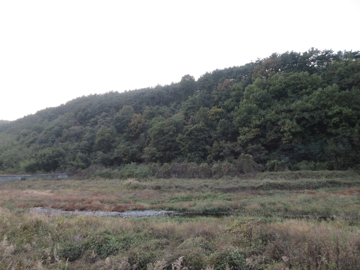 【 본 건 기호 44) 】