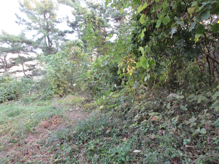 【 본 건 기호 44) 】