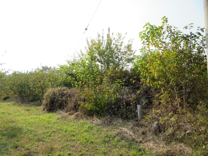 【 본 건 기호 27) 】