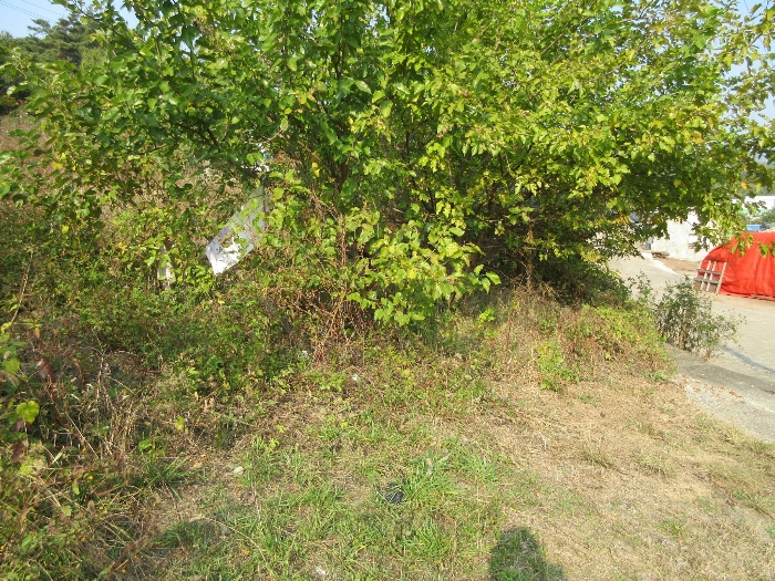 【 본 건 기호 29) 】