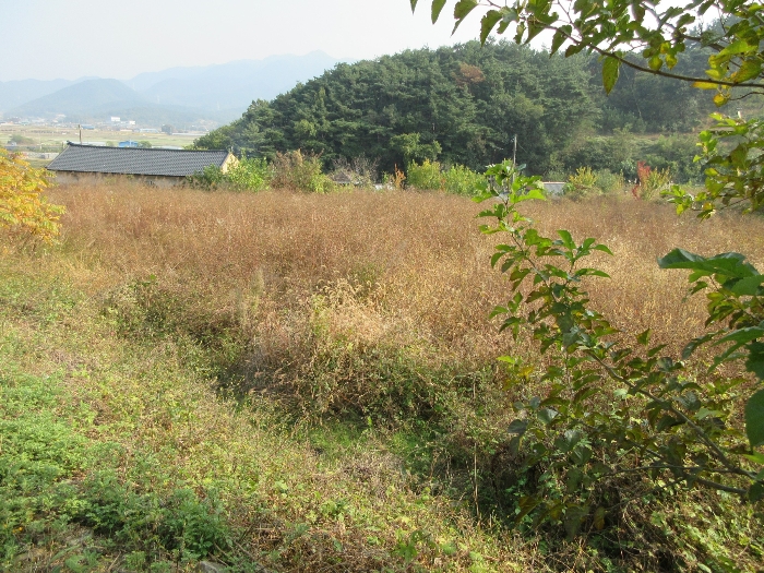 【 본 건 기호 33) 】