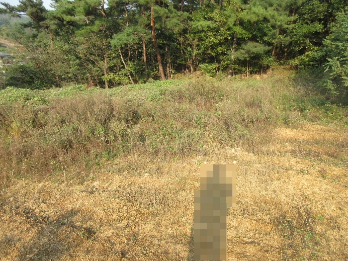 【 본 건 기호 36) 】