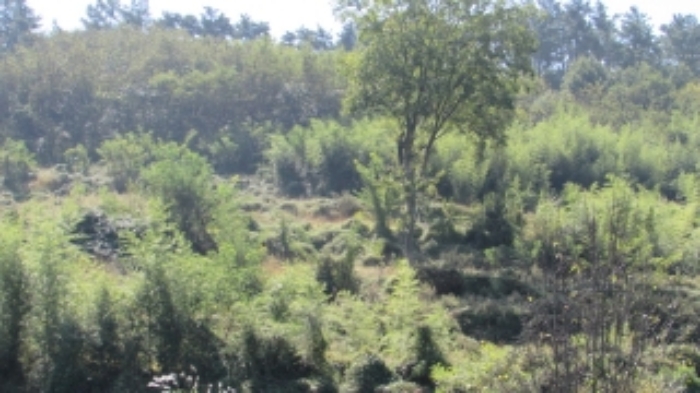 4번 ~ 26번 물건 묵전 전경