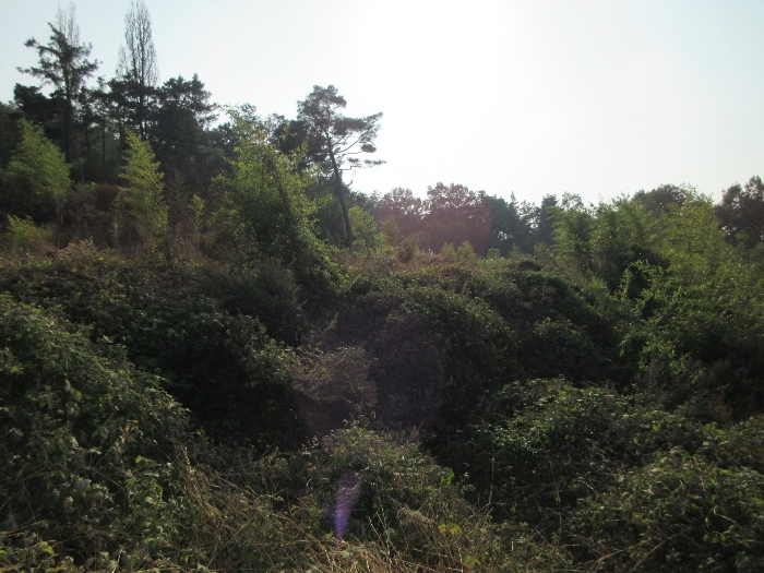 【 본 건 기호 13), 38) 】