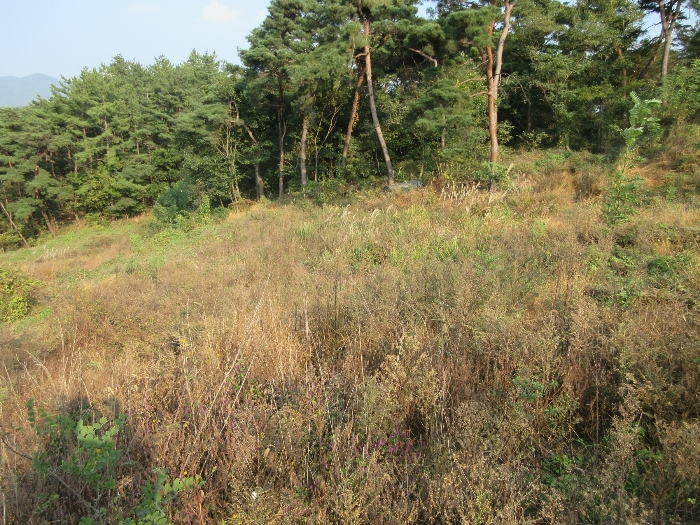 【 본 건 기호 15) 】