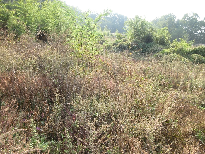 【 본 건 기호 16) 】