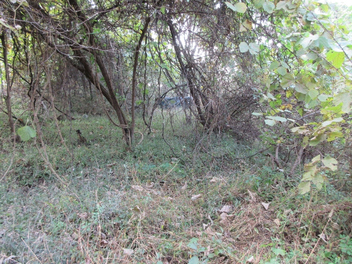 【 본 건 기호 17), 18) 】