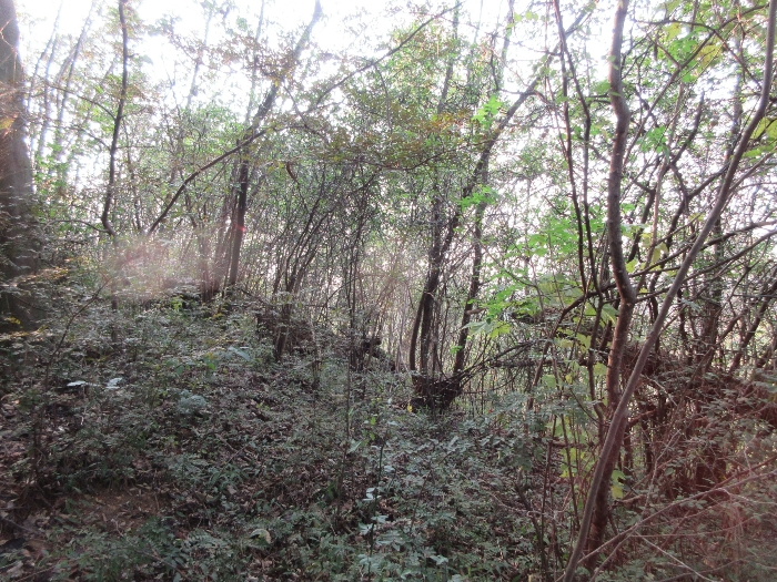 【 본 건 기호 23) 】