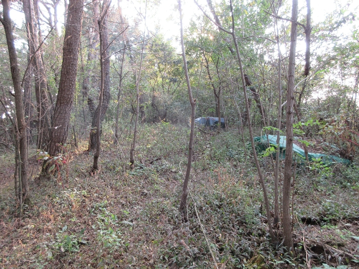 【 본 건 기호 25) 】