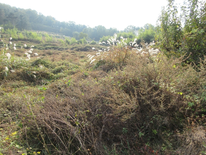 【 본 건 기호 2) 】