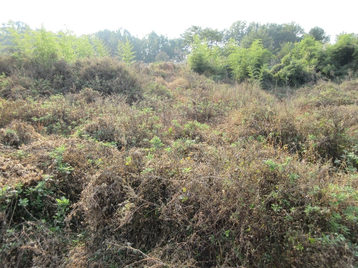 【 본 건 기호 3) 】