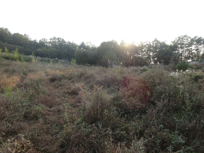 【 본 건 기호 5) 】