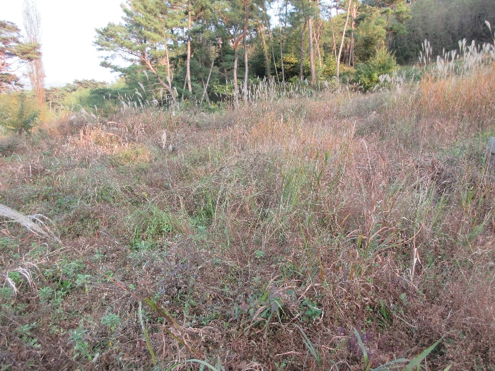 【 본 건 기호 7) 】