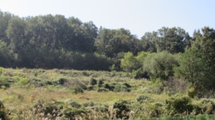 4번 ~ 26번 물건 묵전 전경