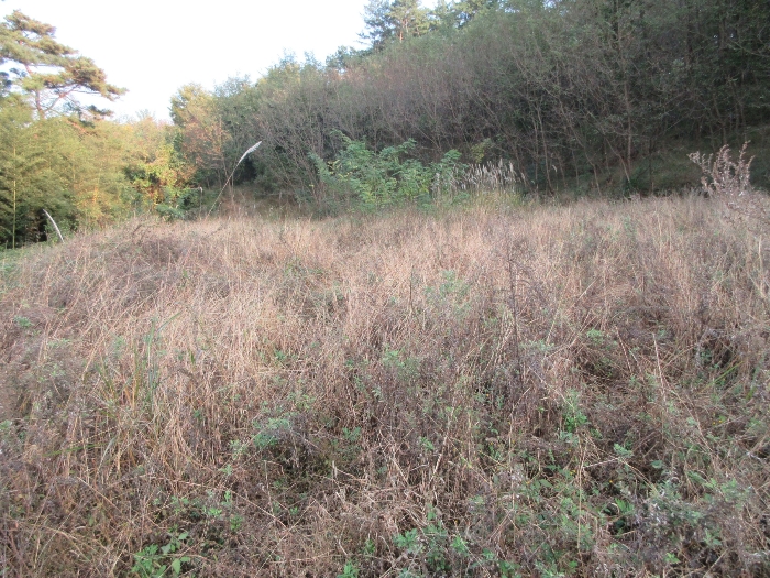 【 본 건 기호 8) 】