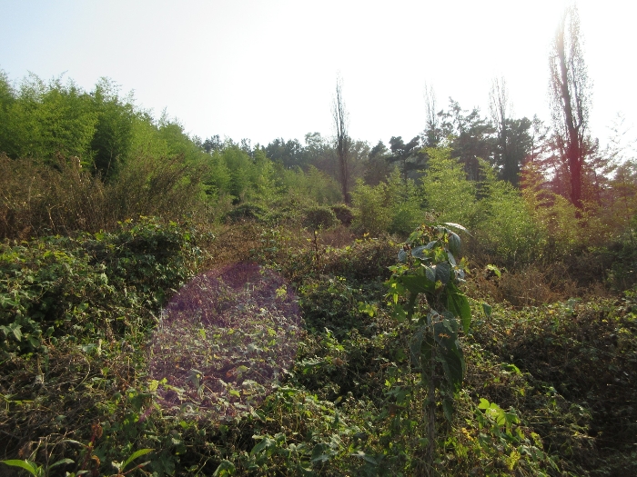 【 본 건 기호 10), 11) 】