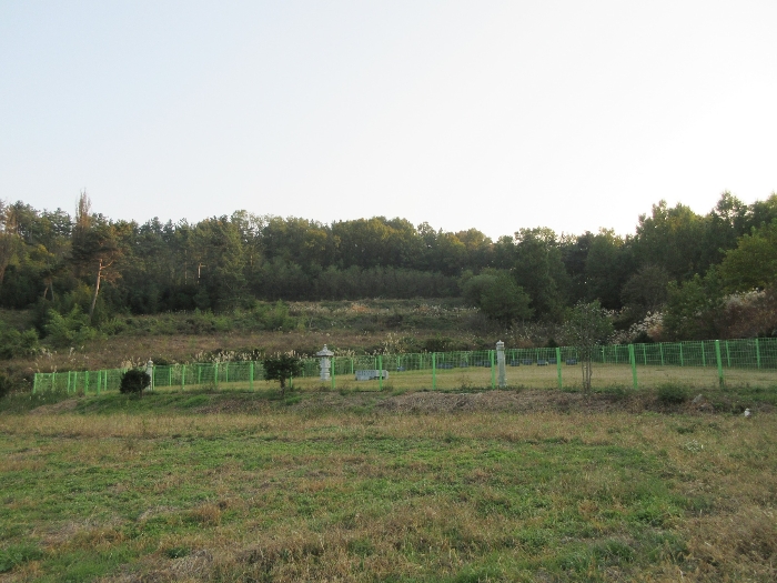 【 본 건 및 주위 환경 】