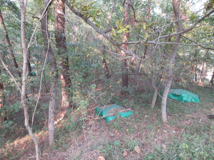 【 본 건 기호 41) 】