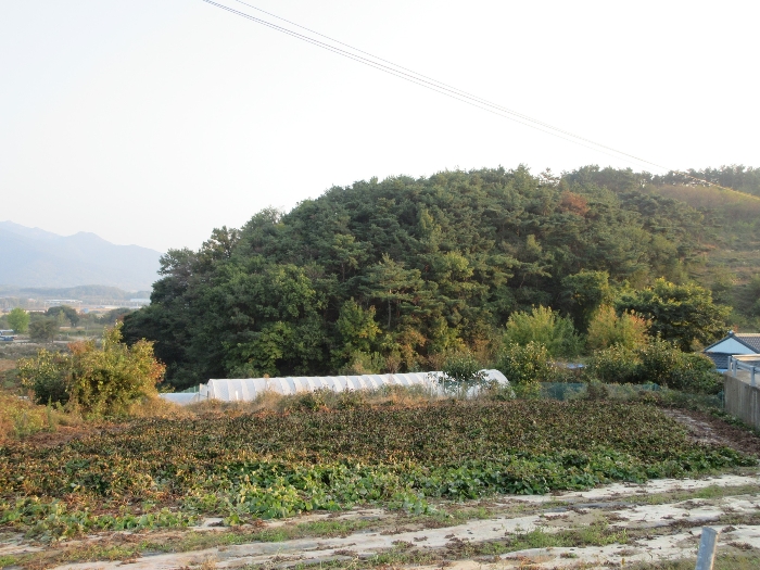 【 본 건 기호 43) 】