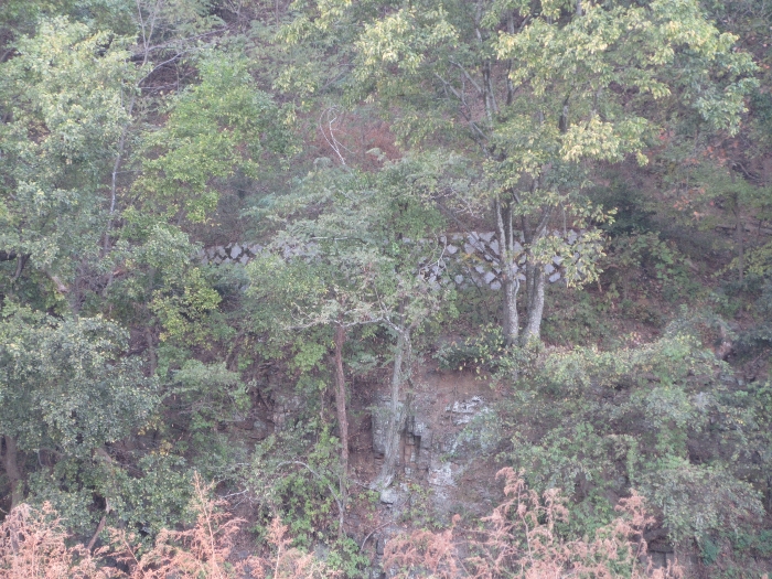 【 본 건 기호 43) 】