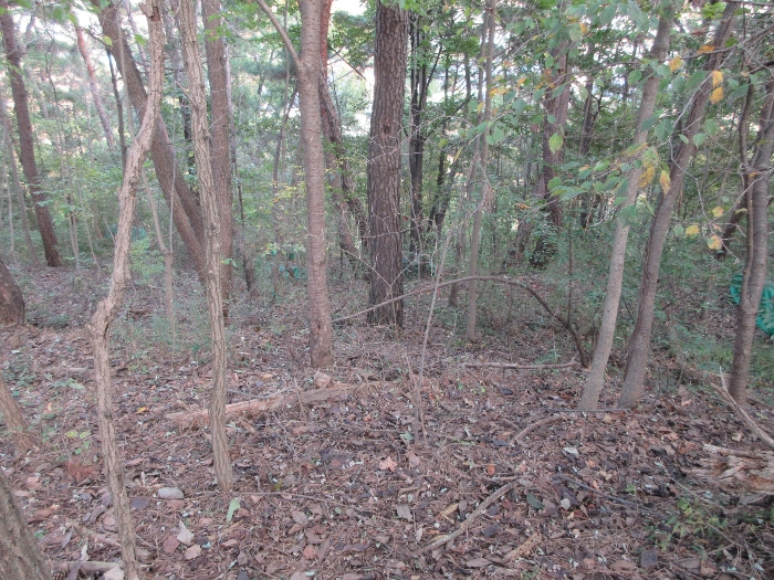 【 본 건 기호 44) 】