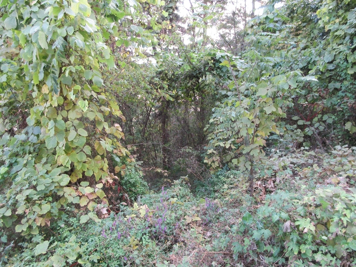 【 본 건 기호 44) 】