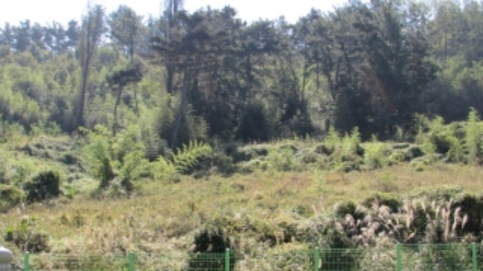 4번 ~ 26번 물건 묵전 전경