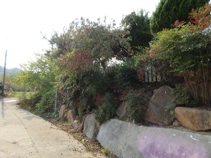 【 본 건 기호 30) 】