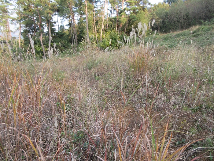 【 본 건 기호 34) 】