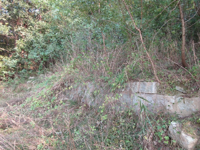 【 본 건 기호 36) 】