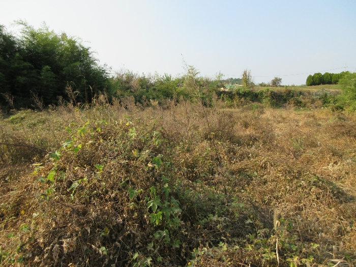 【 본 건 기호 37) 】