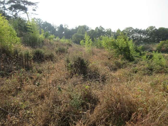 【 본 건 기호 13), 35), 38) 】