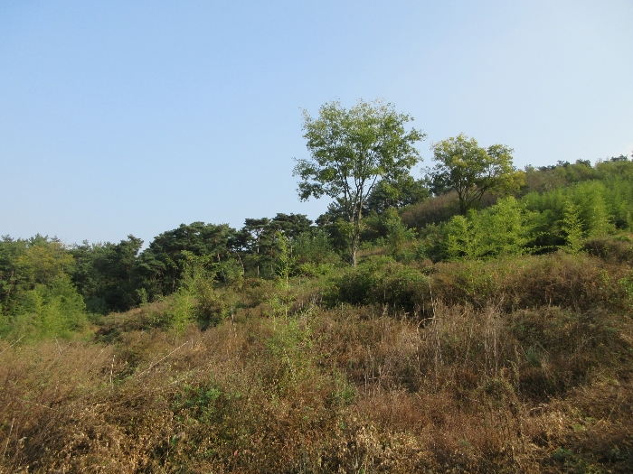 【 본 건 기호 16) 】