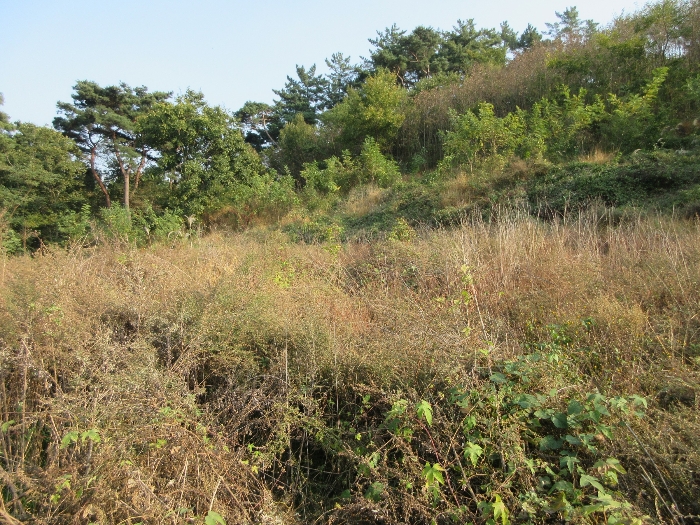 【 본 건 기호 16) 】