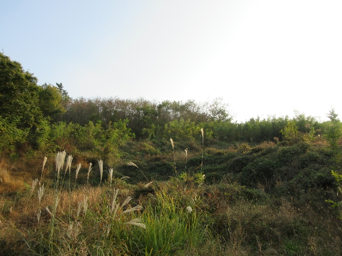 【 본 건 기호 19) - 21) 】